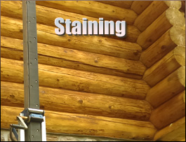  Orangeburg County,  South Carolina Log Home Staining